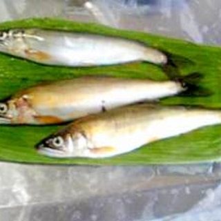 香魚☆那珂川の天然鮎の焼き魚♪